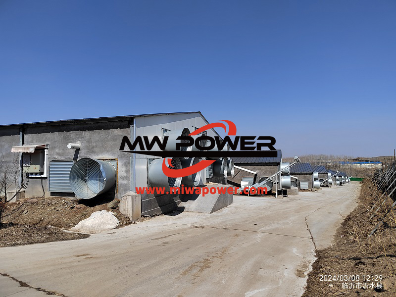 600kw潍柴发电机在养殖场安装